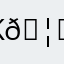 Kullanıcı (user)