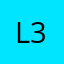 L300burn