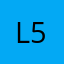 Lice 5357