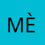 Mèo169