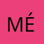 MéganeM