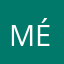 Métonic
