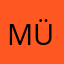 Müşevveş