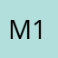 M13G…….