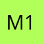 M1989M1989