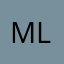 MLKblitz