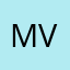 MVBizz