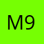 Mango 916