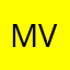 Maxim Viel13