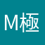 Mitz 207 極