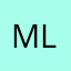Mlev2001
