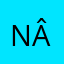 Nâyi