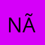 Nãodacerto