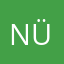 Nürtingerin