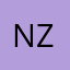 N- Zup
