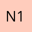 N13004