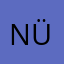 Naime ÜÇYİĞİT