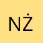 Nestor Żongler