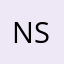 Nssyn2020