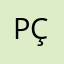P Çetin