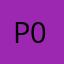 P070307