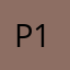P138drts