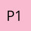 P1XEL_1x1