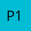 P1nts1ze