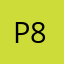 P8080
