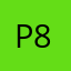 P876I9