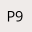 P9PPIM9I