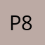 PE Teacher 8509