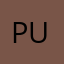 PKk upadhyay