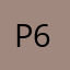PLS 610