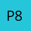 Packer 8
