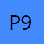 Packer 920