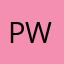 Pago web