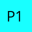Pankajpatel 1