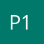 Panzy 101