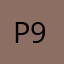 Papetto 98