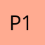 Pascal T 13