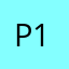 Pax-13