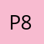 Payne 80