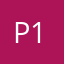 Peter J 13