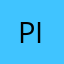 Picchini