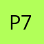 Pigeon lover 77777