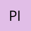 Pigith