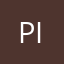 Pillowpal176