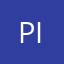 Pinar's