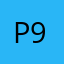 Pirmin 97